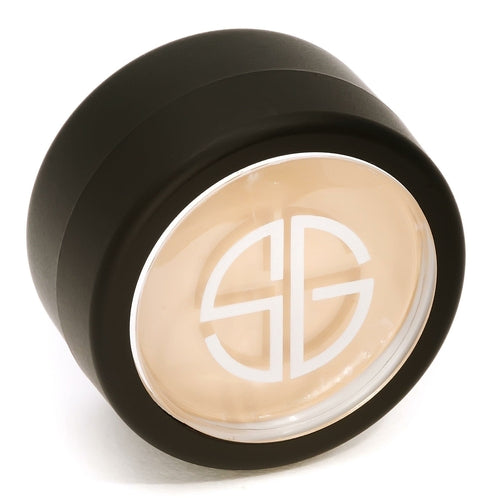 HIDDEN AGENDA CONCEALER